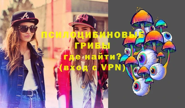 скорость Белокуриха