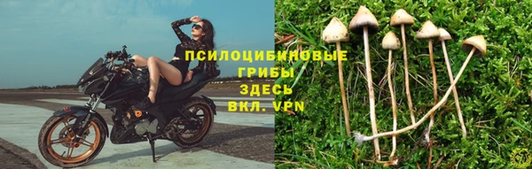 дживик Богданович